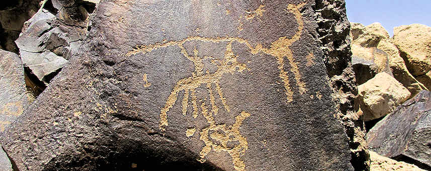 Birds in Negev Desert Rock Art