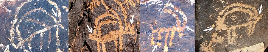 The ibex in Negev rock art