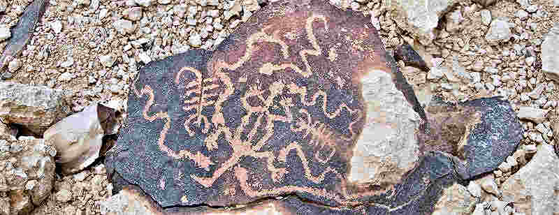 Negev Desert rock art summer sky panel showing lizard, snake, scorpion as summer constellations